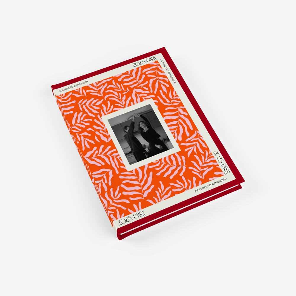 Álbum Pictures to Remember 3